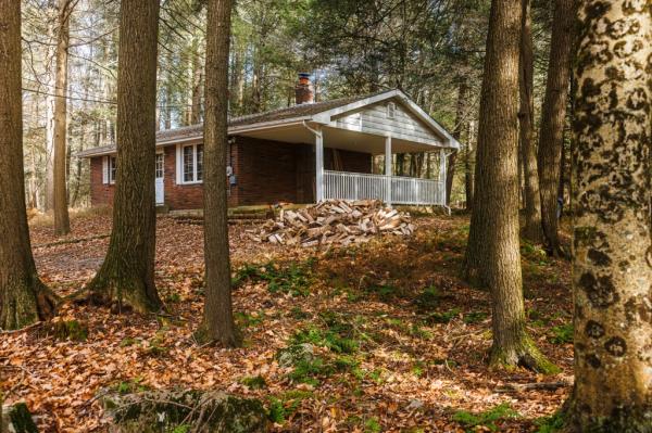 Livingston said that a house in the woods has “a lot of opportunities for issues.”